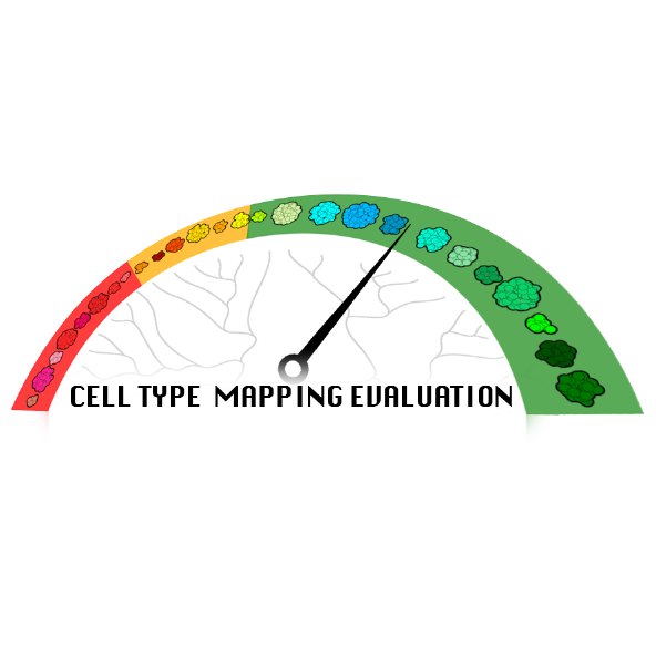 image representing the current explore topic